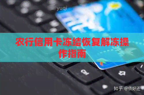 农行信用卡冻结恢复解冻操作指南