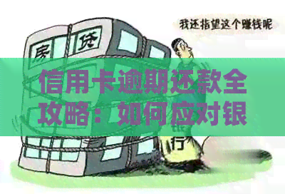 信用卡逾期还款全攻略：如何应对银行短信并及时还清债务