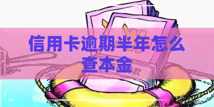 信用卡逾期半年怎么查本金