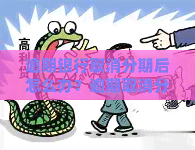 逾期银行取消分期后怎么办？逾期取消分期操作全攻略