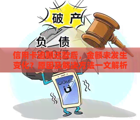 信用卡逾期还款后，金额未发生变化？原因及解决方法一文解析