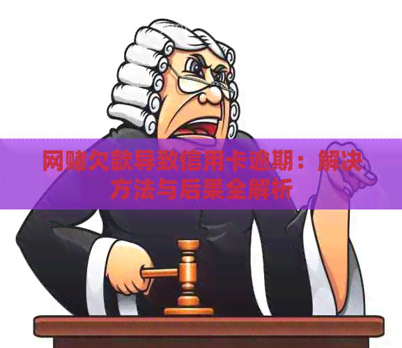 网欠款导致信用卡逾期：解决方法与后果全解析