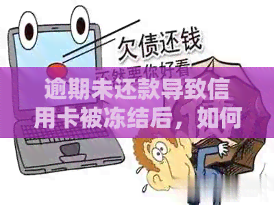 逾期未还款导致信用卡被冻结后，如何解冻并避免类似问题再次发生？