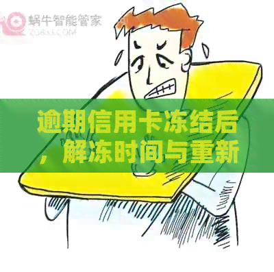 逾期信用卡冻结后，解冻时间与重新申请策略