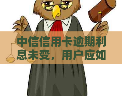 中信信用卡逾期利息未变，用户应如何应对及可能的影响？
