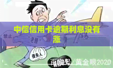 中信信用卡逾期利息没有涨