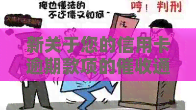 新关于您的信用卡逾期款项的通知：重要提醒、还款计划与逾期后果解析
