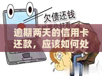 逾期两天的信用卡还款，应该如何处理？