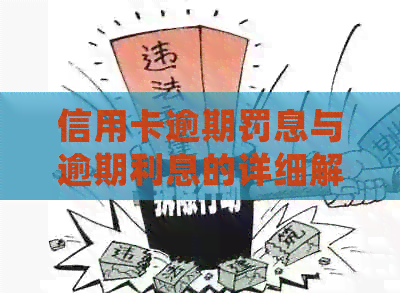 信用卡逾期罚息与逾期利息的详细解析