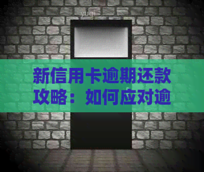 新信用卡逾期还款攻略：如何应对逾期情况，避免罚息和信用损失？