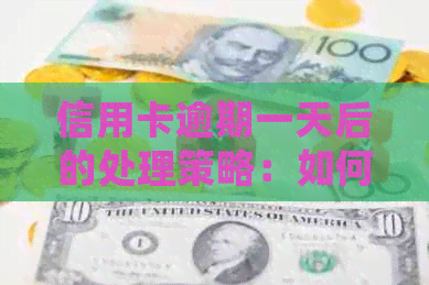 信用卡逾期一天后的处理策略：如何避免止付并恢复信用？