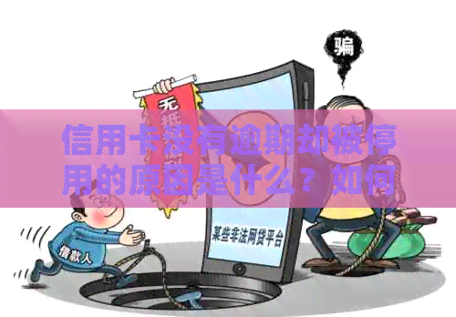 信用卡没有逾期却被停用的原因是什么？如何解决这个问题？
