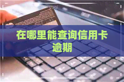 在哪里能查询信用卡逾期