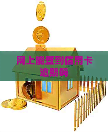 网上能查到信用卡逾期吗