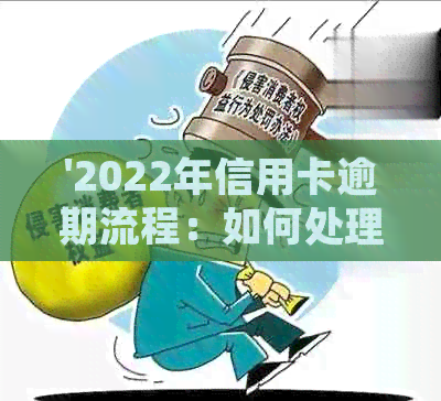 '2022年信用卡逾期流程：如何处理，最新标准及政策解析'