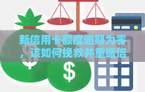 新信用卡额度逾期为零，该如何挽救并重振信用？