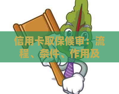 信用卡取保候审：流程、条件、作用及注意事项，全面解答您的疑问