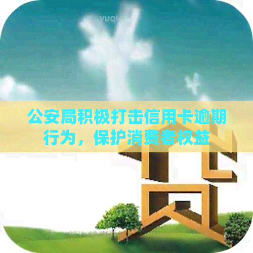 公安局积极打击信用卡逾期行为，保护消费者权益