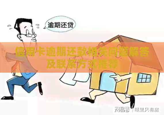 信用卡逾期还款相关问题解答及联系方式推荐