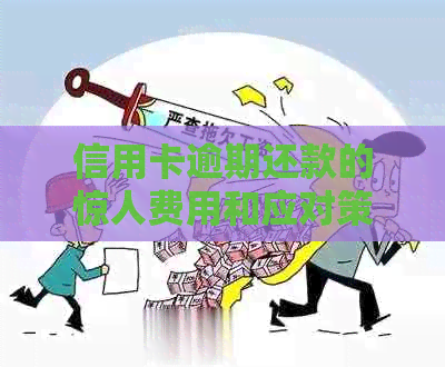 信用卡逾期还款的惊人费用和应对策略