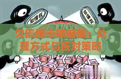 欠信用卡被催债：处理方式与应对策略