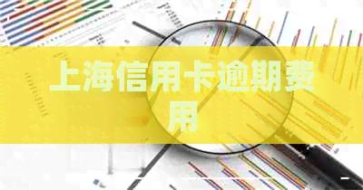 上海信用卡逾期费用