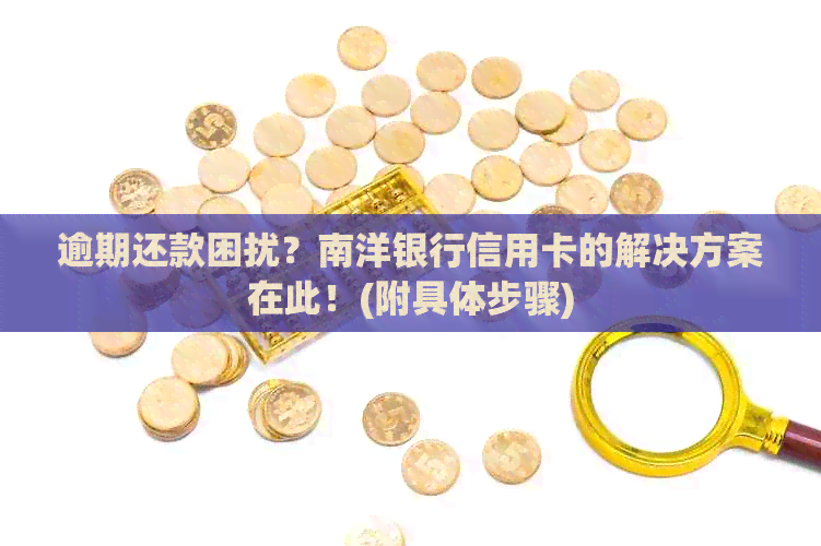 逾期还款困扰？南洋银行信用卡的解决方案在此！(附具体步骤)