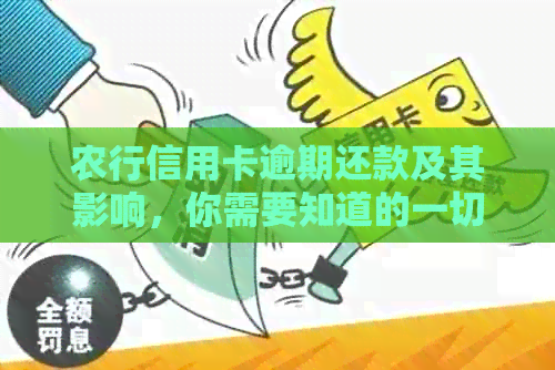 农行信用卡逾期还款及其影响，你需要知道的一切