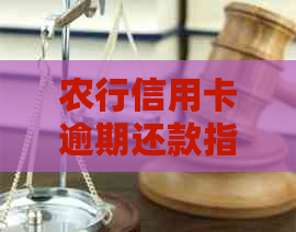 农行信用卡逾期还款指南：解决常见问题、影响与应对措