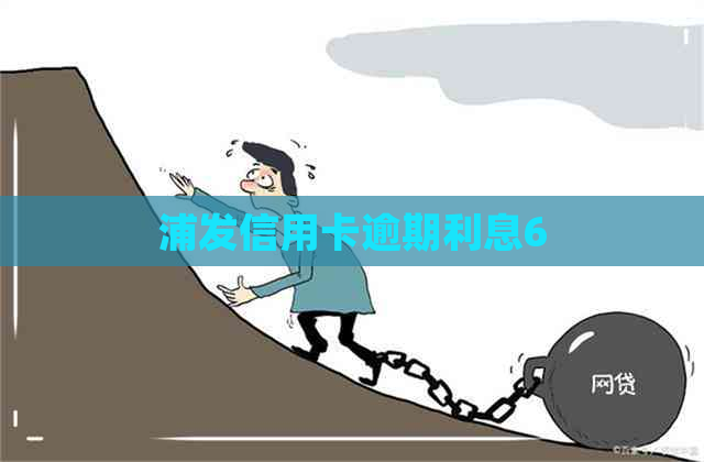 浦发信用卡逾期利息6