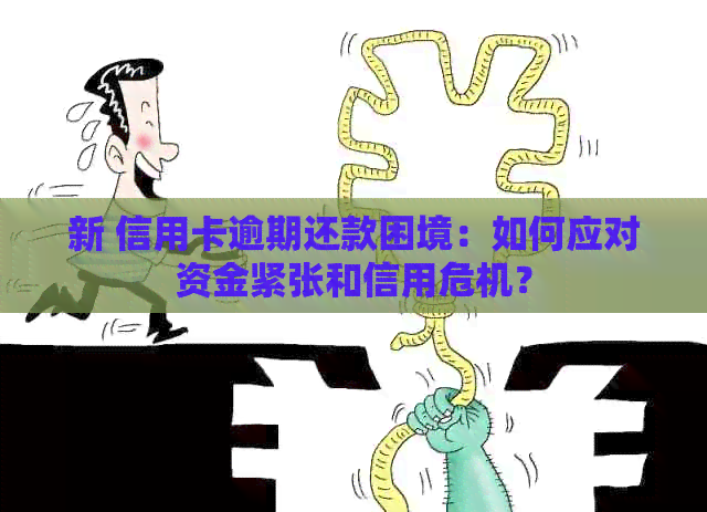 新 信用卡逾期还款困境：如何应对资金紧张和信用危机？