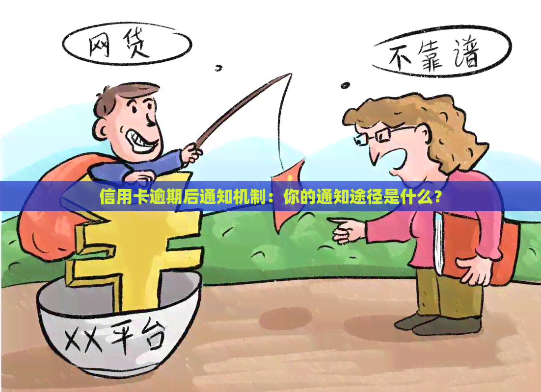 信用卡逾期后通知机制：你的通知途径是什么？
