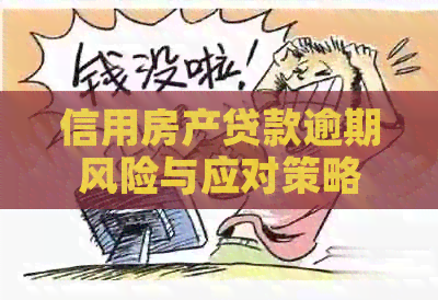 信用房产贷款逾期风险与应对策略