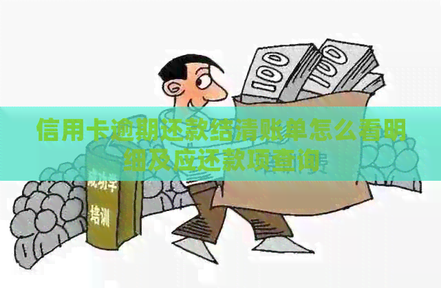 信用卡逾期还款结清账单怎么看明细及应还款项查询