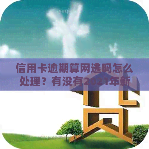 信用卡逾期算网逃吗怎么处理？有没有2021年新规下的逾期坐牢案例？