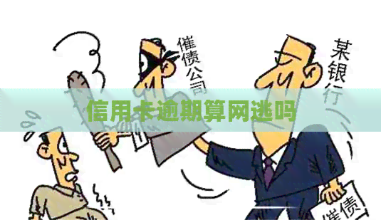 信用卡逾期算网逃吗