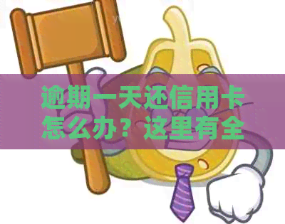逾期一天还信用卡怎么办？这里有全面的解决方法！