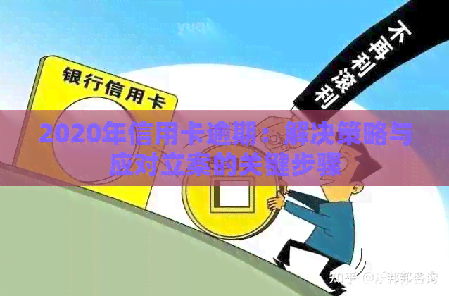 2020年信用卡逾期：解决策略与应对立案的关键步骤