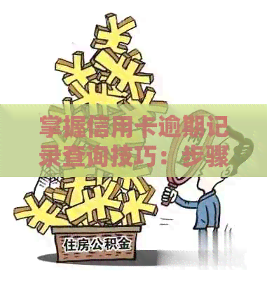 掌握信用卡逾期记录查询技巧：步骤、时间、平台详解