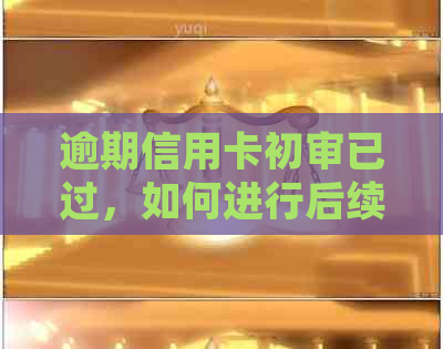 逾期信用卡初审已过，如何进行后续处理和解决？