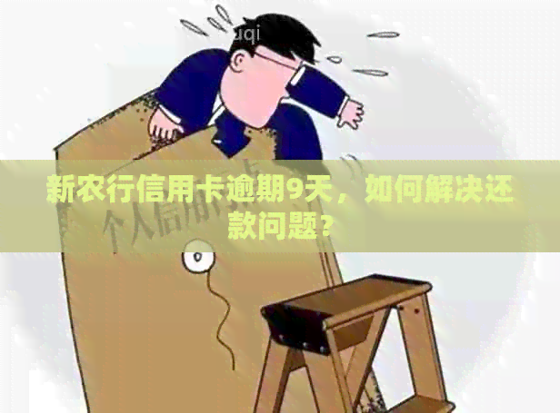 新农行信用卡逾期9天，如何解决还款问题？