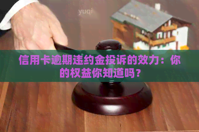 信用卡逾期违约金投诉的效力：你的权益你知道吗？
