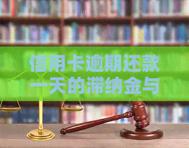 信用卡逾期还款一天的滞纳金与利息计算：20万额度的影响分析