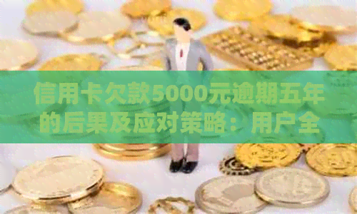 信用卡欠款5000元逾期五年的后果及应对策略：用户全方位指南