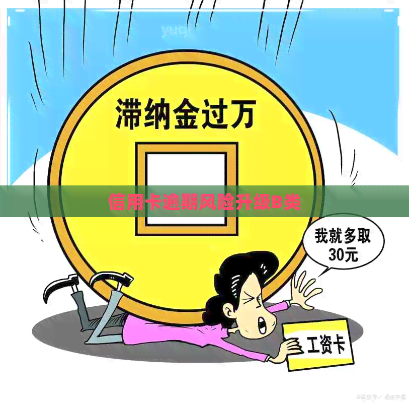 信用卡逾期风险升级B类