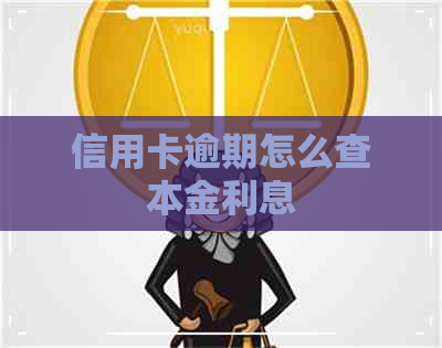信用卡逾期怎么查本金利息