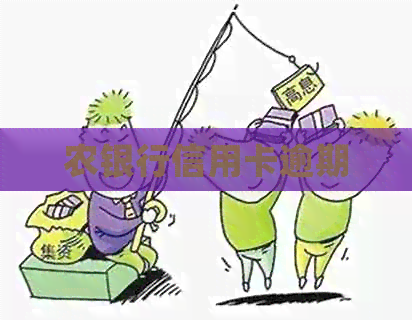 农银行信用卡逾期