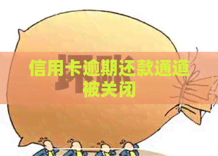 信用卡逾期还款通道被关闭