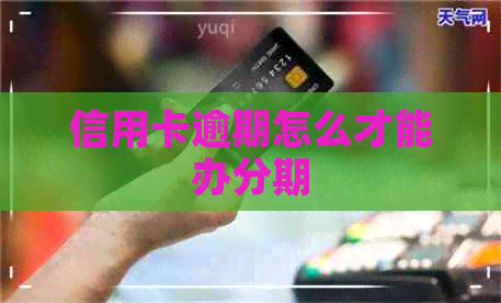 信用卡逾期怎么才能办分期
