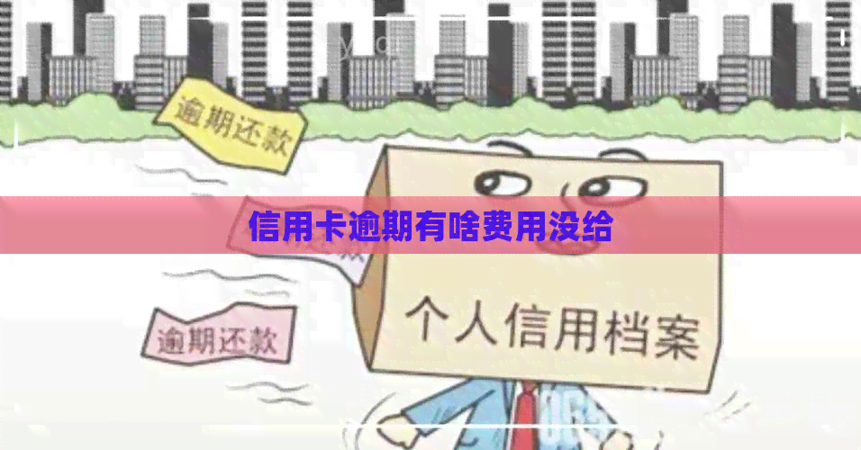 信用卡逾期有啥费用没给